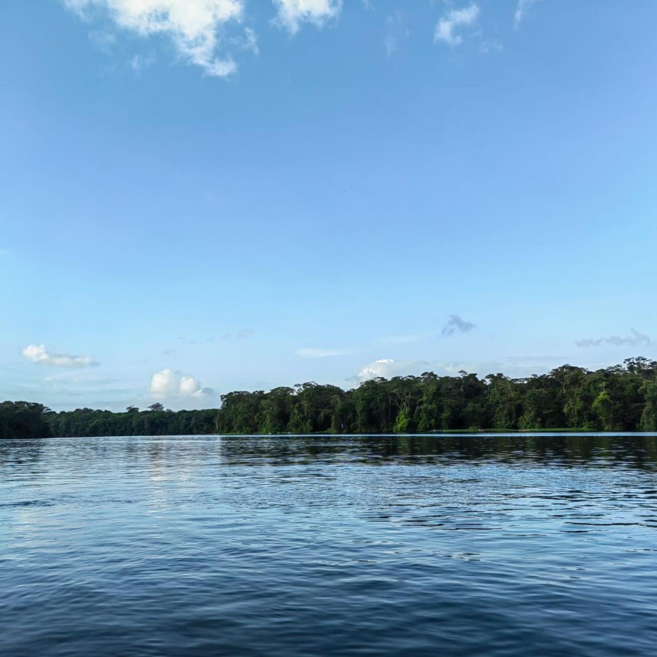 Tortuguero Villas Eksteriør bilde