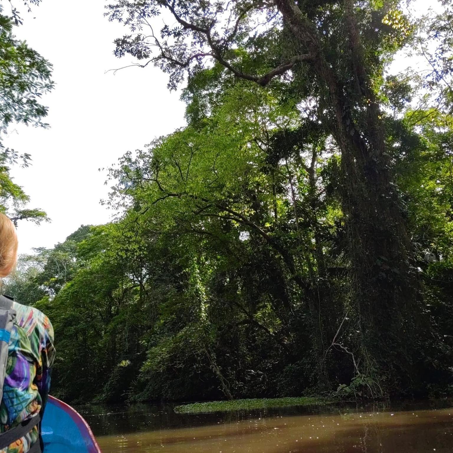 Tortuguero Villas Eksteriør bilde