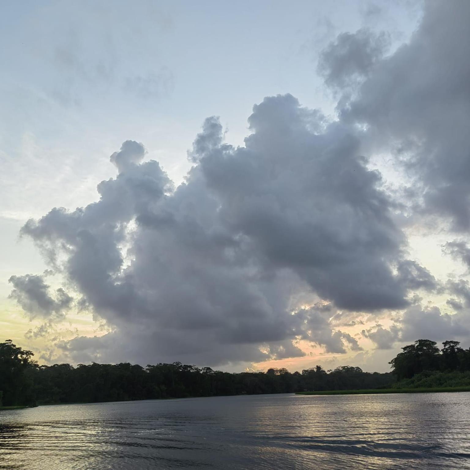 Tortuguero Villas Eksteriør bilde