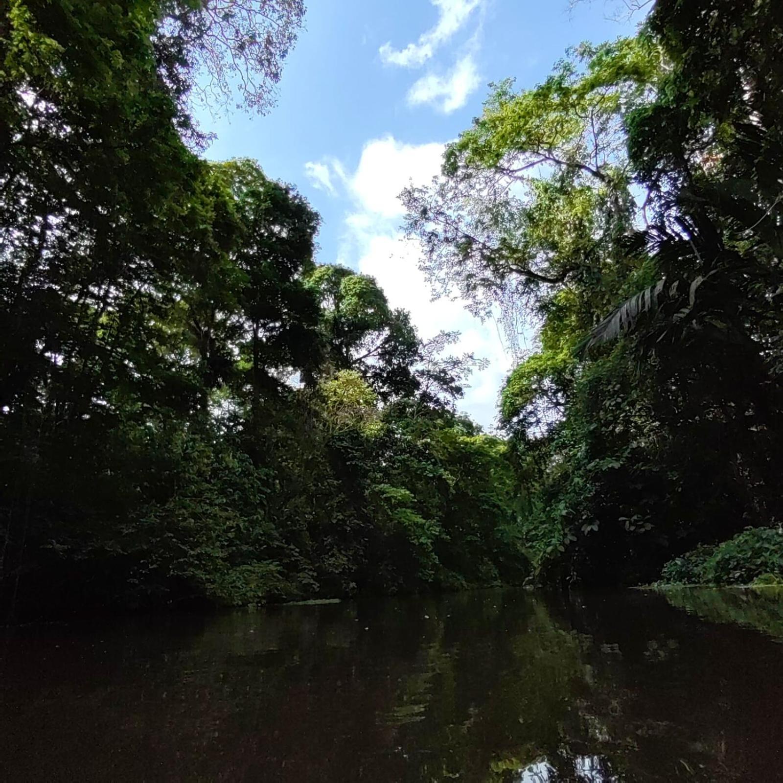 Tortuguero Villas Eksteriør bilde